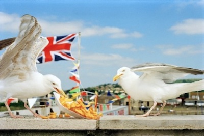 Martin Parr